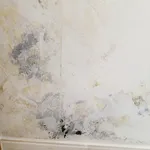 Umidità di risalita