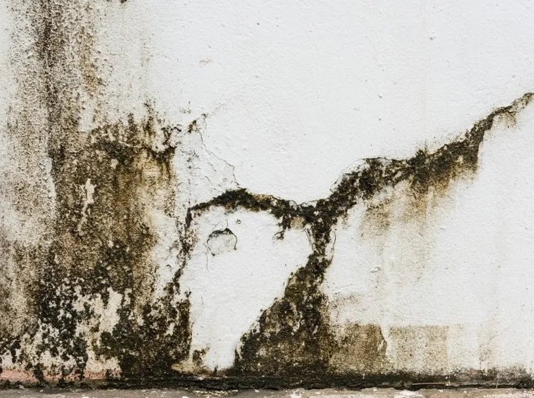Umidità di risalita all'esterno