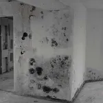 Umidità