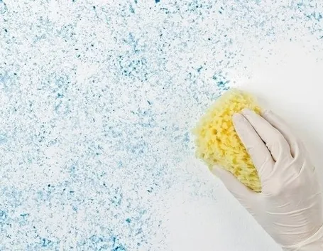 effetto spugnato