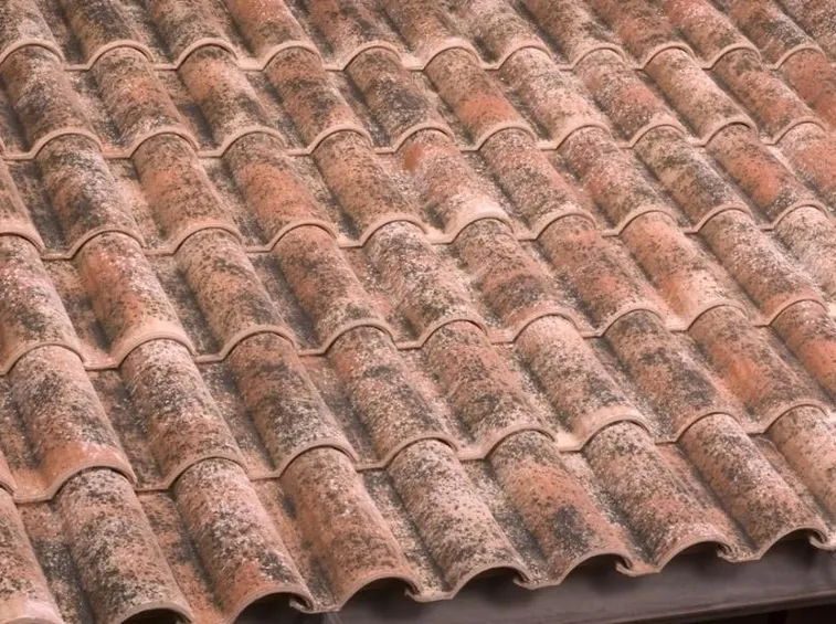 manutenzione tegole portoghesi