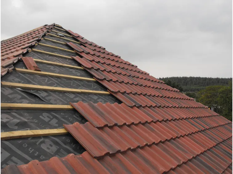 costruzione tetto