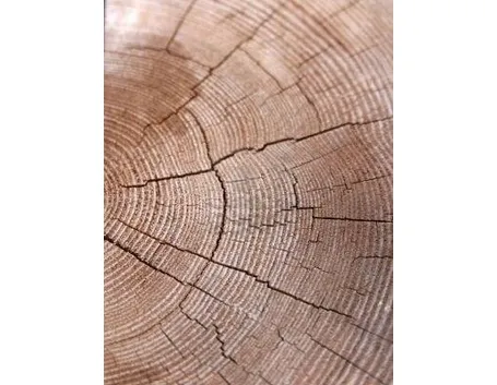 sezione trave legno