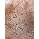 sezione trave legno