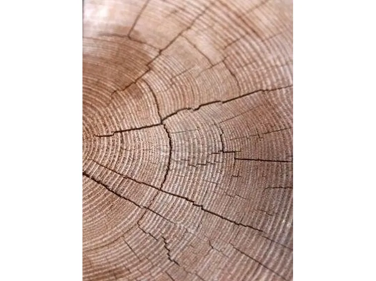 sezione trave legno