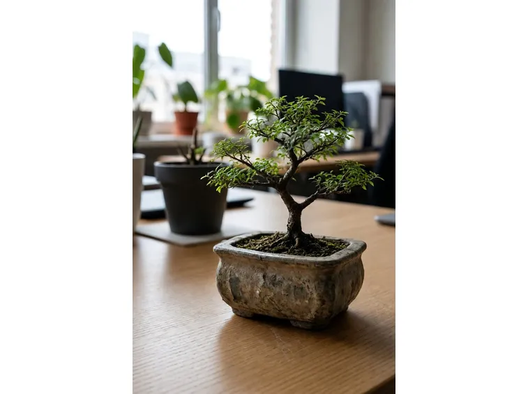 taglio poglie bonsai