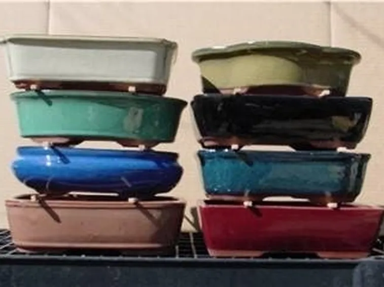 vasi colorati per bonsai