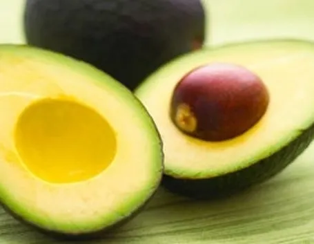 coltivazione avocado 