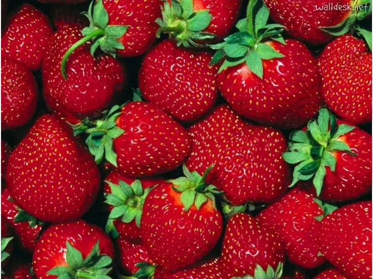 fragole