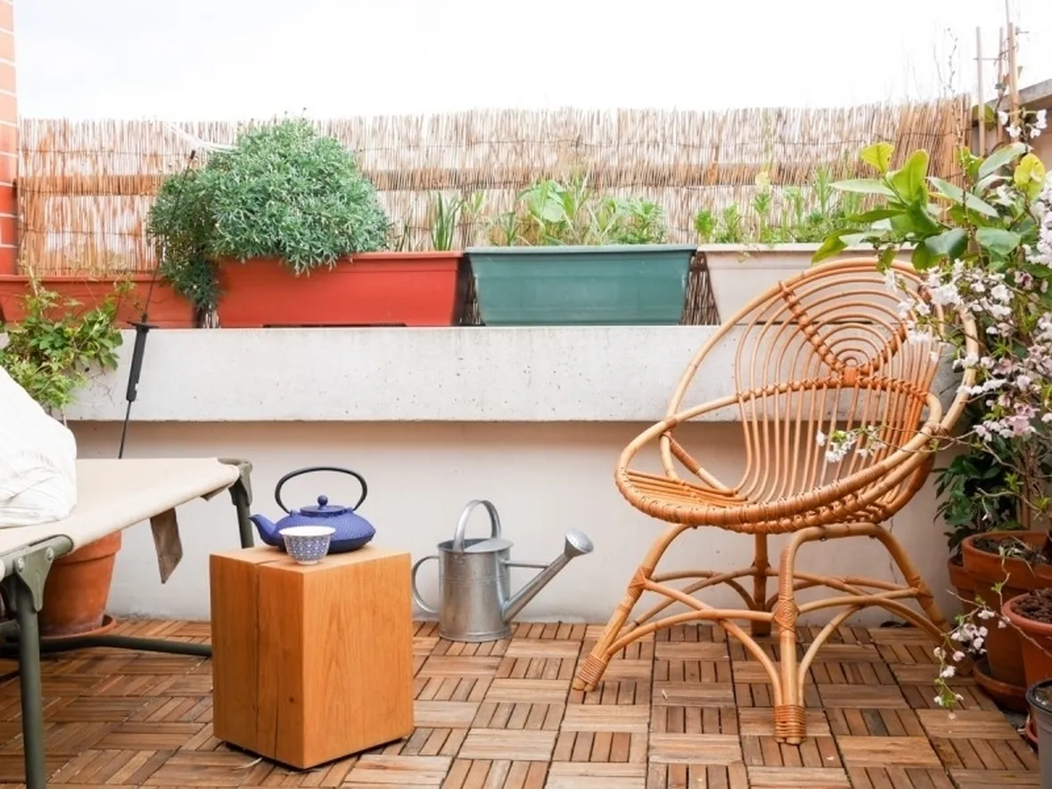 pomodori coltivati su terrazzo