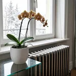 Perche con i termosifoni accesi la posizione va rivista