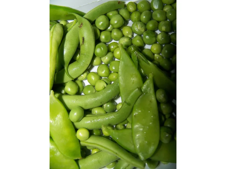fagioli