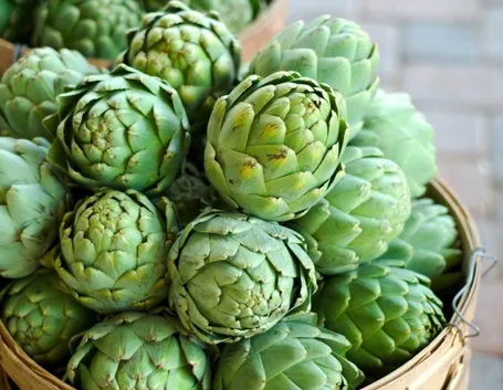 esempio di carciofi