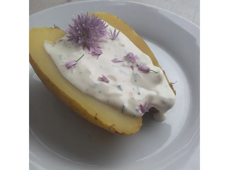 utilizzo erba cipollina