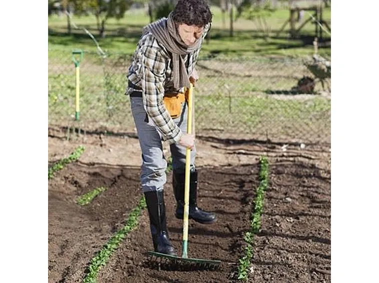 semina di febbraio