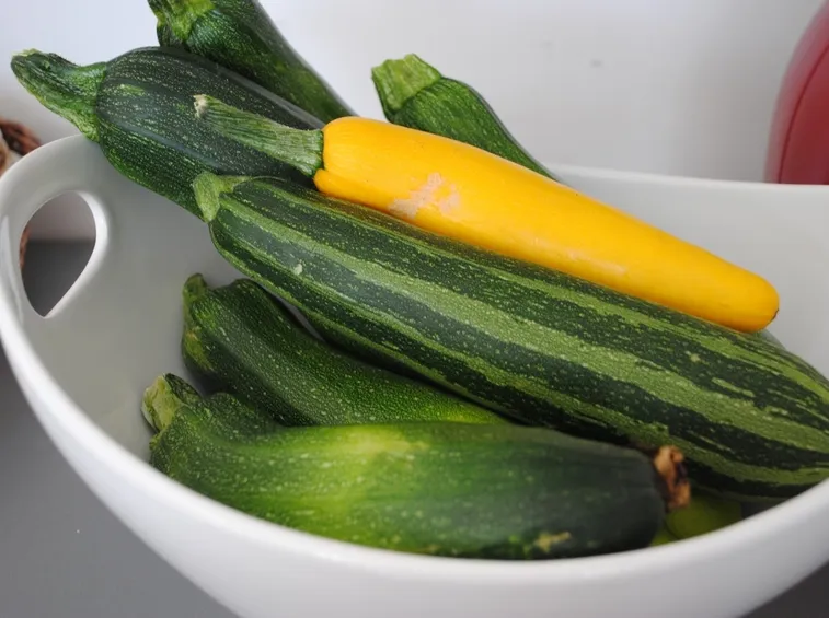 varietà zucchine
