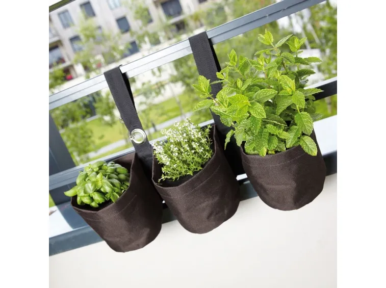 piante aromatiche da coltivare in casa