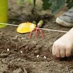 tipi di sementi per orto