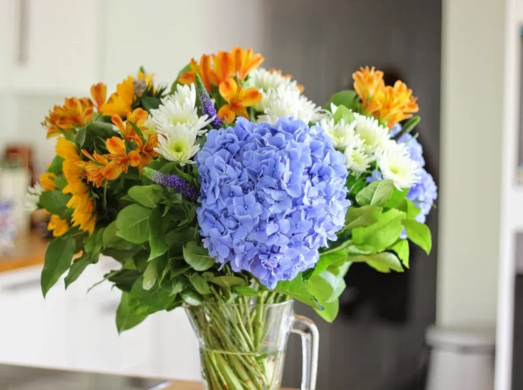 fiori appartamento