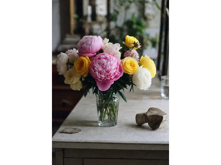 peonia