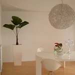 pianta da interno