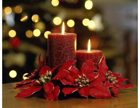 stella