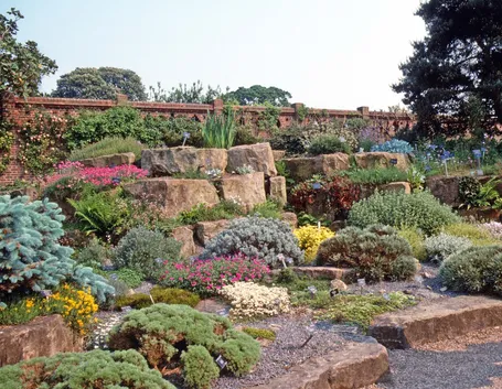 giardino con piante grasse