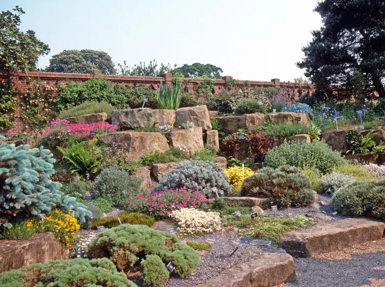 giardino con piante grasse