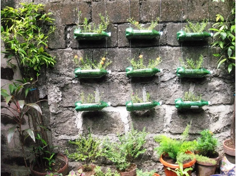 bottiglie di plastica per piante