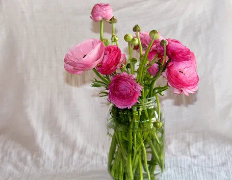 vaso in vetro con fiori