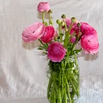 vaso in vetro con fiori