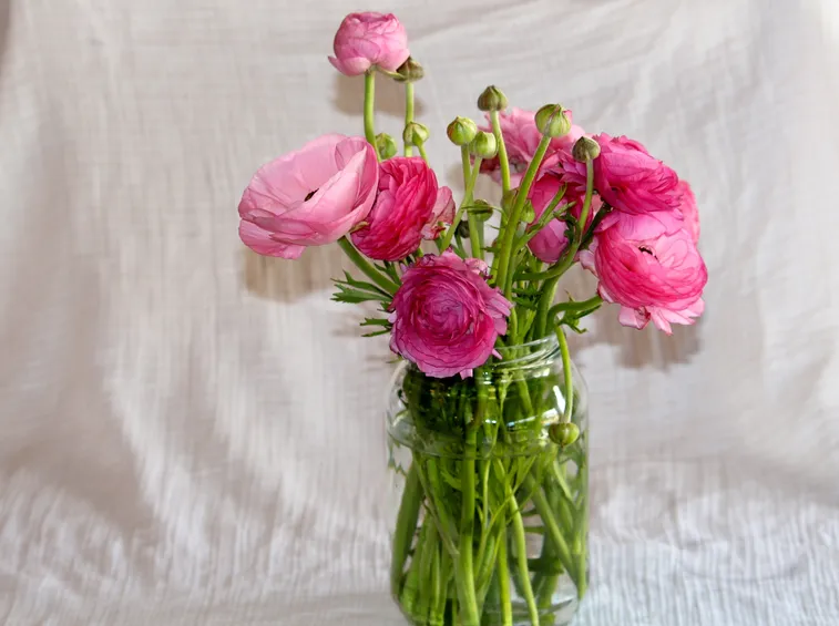 vaso in vetro con fiori