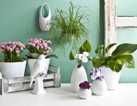 vasi in ceramica