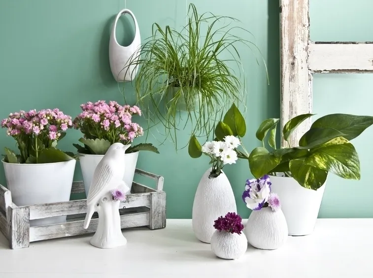 vasi in ceramica