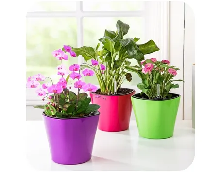 vasi in plastica colorati