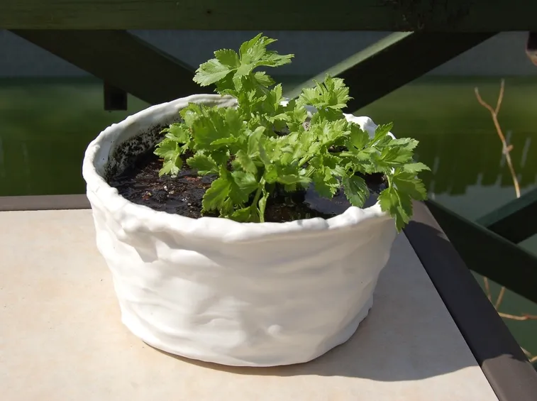 Vaso di plastica fai da te