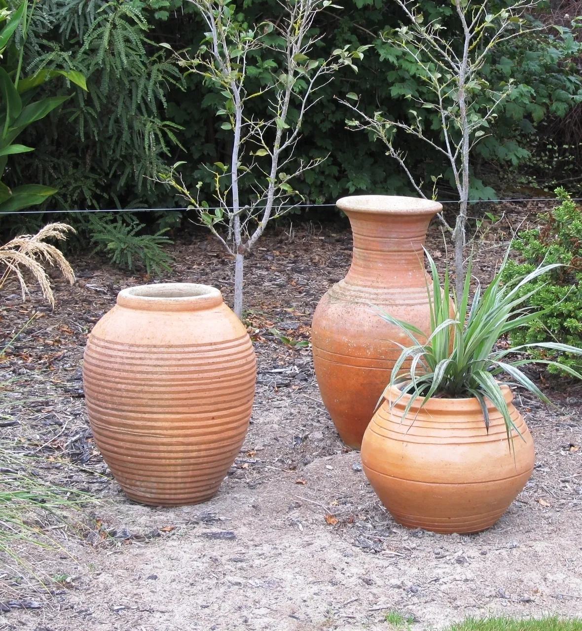 Vasi che arredano il giardino