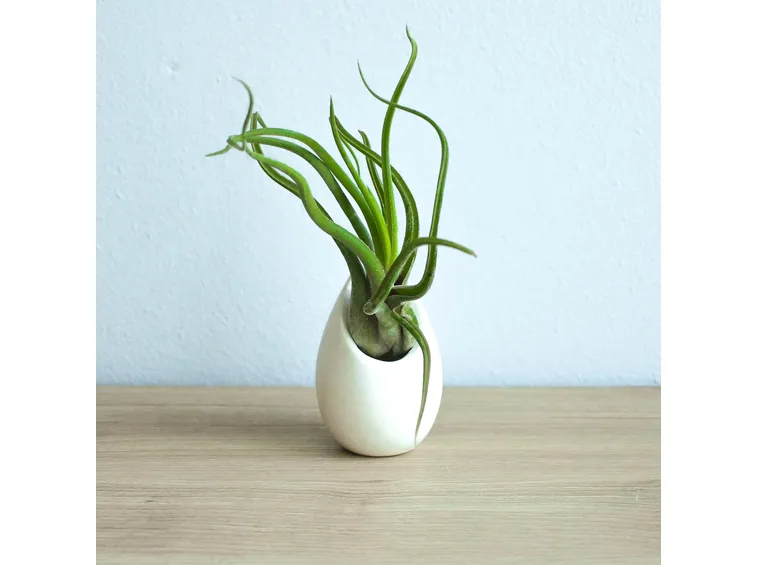 Moderno vaso in ceramica