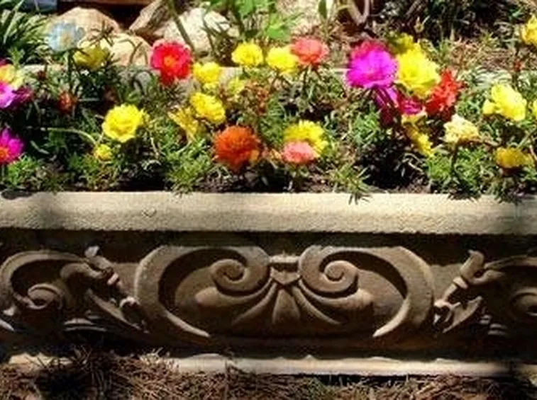 vasi per fiori