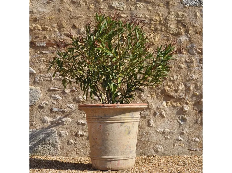 vaso in terracotta
