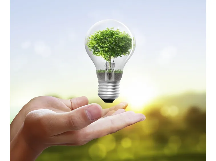 del risparmio energetico beneficia anche la natura
