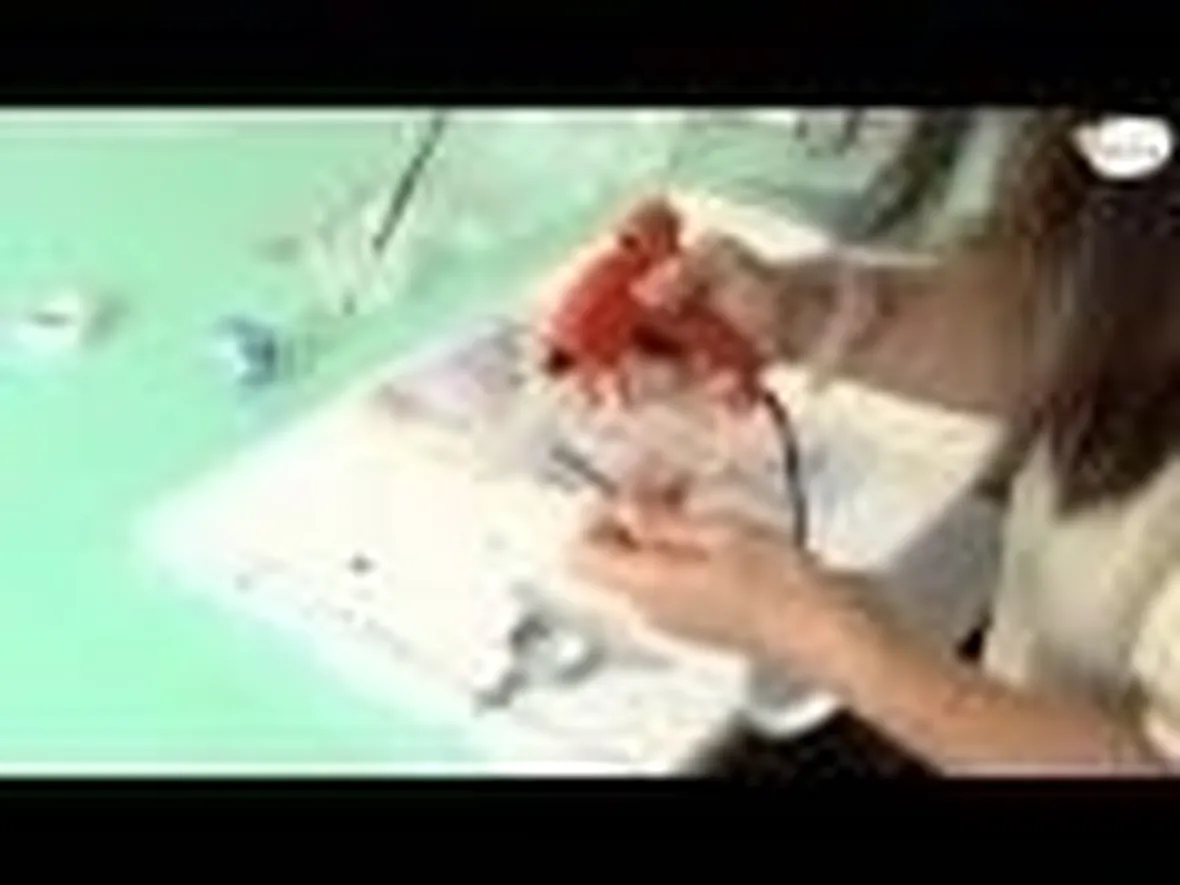 Decorare una lampada artistica