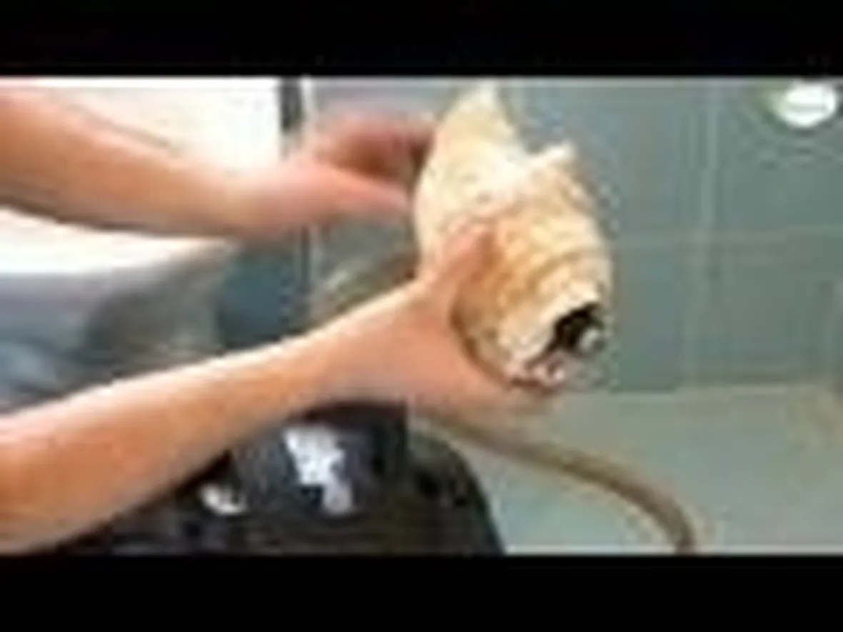 Come sturare il wc tutorial