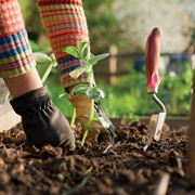 attrezzi per il giardino