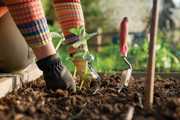 attrezzi per il giardino