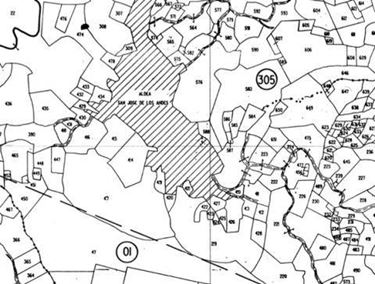 mappe catastali