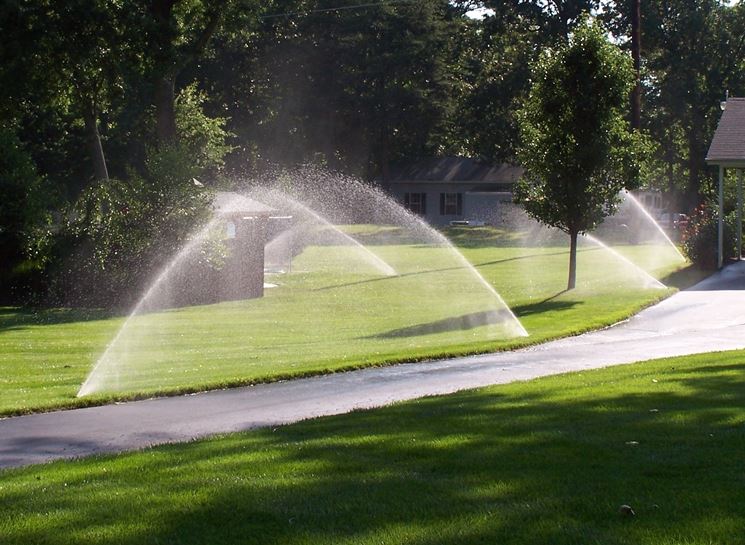 acqua e giardino