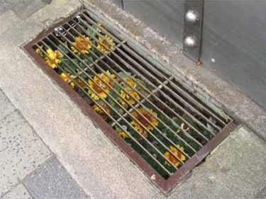 Guerrilla gardening