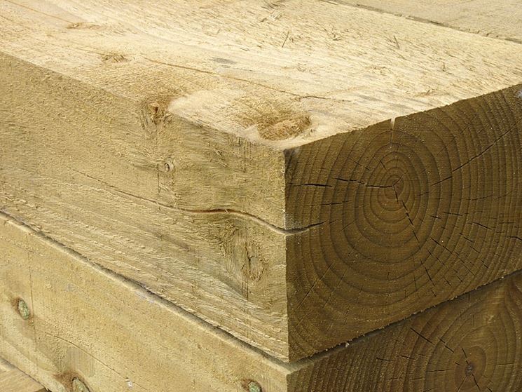 esempio di legno tenero