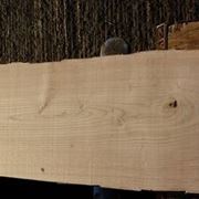 legno castagno